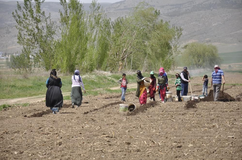 Tarımın bel kemiği mevsimlik işçiler Ramazan ayında Eskişehir'de işlerinin başında