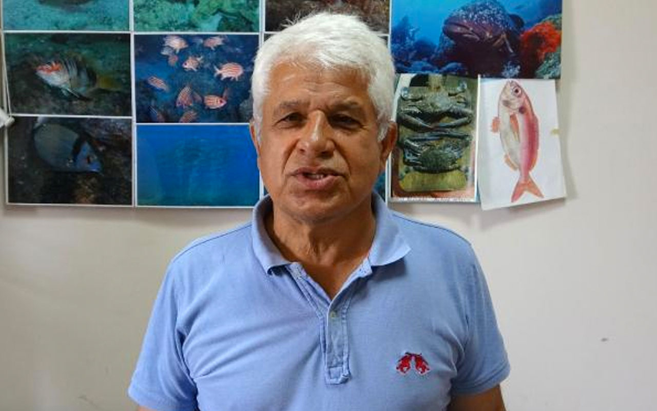 Prof. Dr. Gökoğlu çarpıcı uyarı: Denizde, kıyıda balon balığı görmeye alışmalıyız