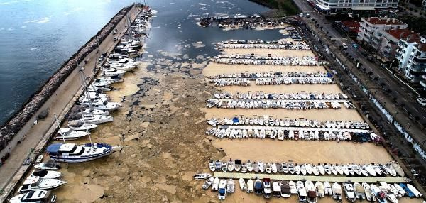 Kabus sürüyor! Mudanya Yat Limanı deniz salyasıyla kaplandı korkunç görüntüler