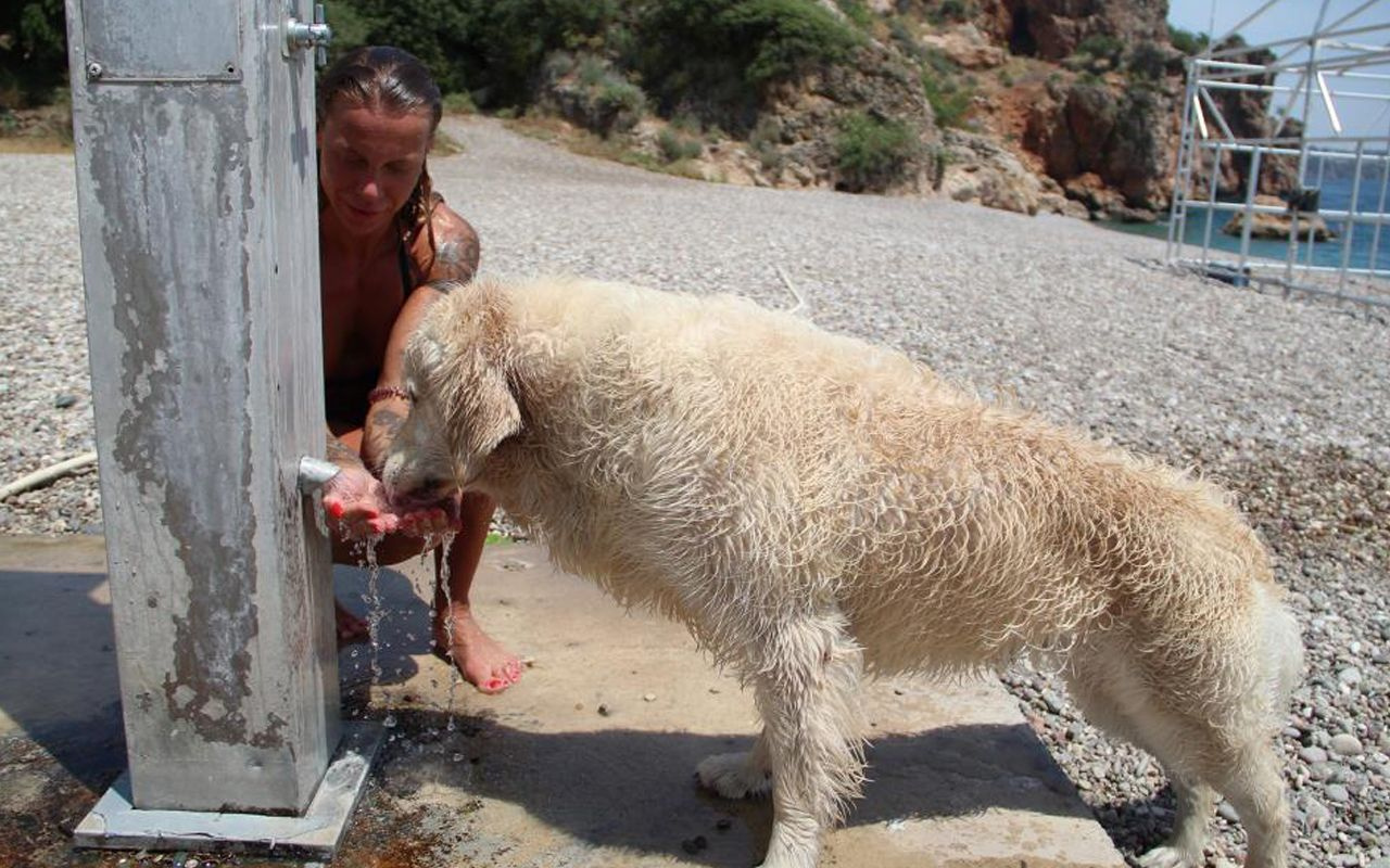 Antalya'da Rus turistin, 9 bin kilometrelik yoldan getirdiği köpeğiyle deniz keyfi!