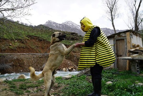 Hakkari'de görenler şaştı kaldı! Yine bir ilke imza attı: Önemli bir mesajım var