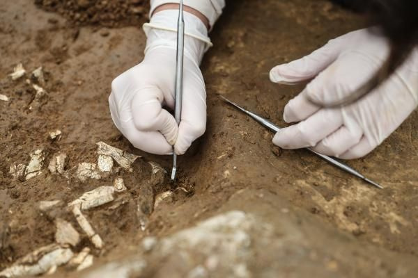 İstanbul'da ortaya çıktı hemen üzeri kapatıldı! Dünya için çok önemli buluş