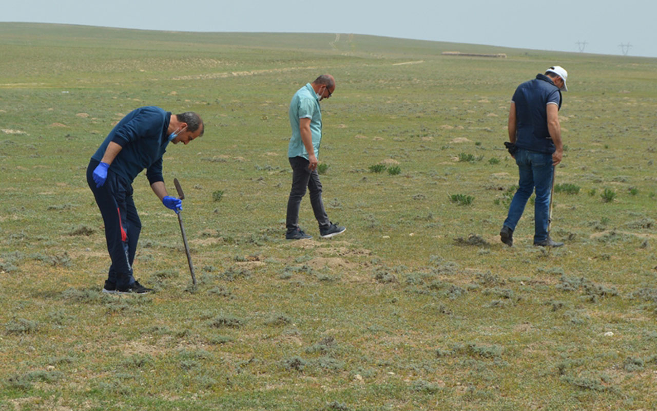 Afyonkarahisar'da köylüler define arar gibi arıyor şekli patatese benziyor