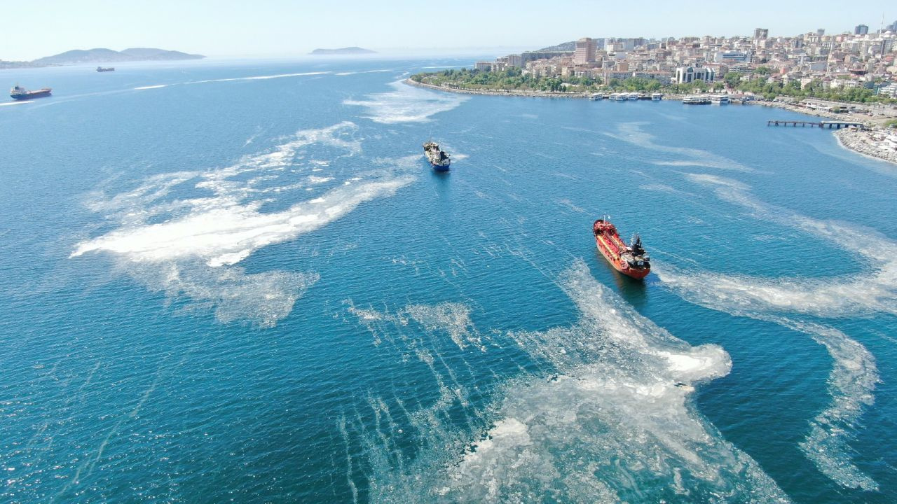 İstanbul sahillerini istila eden deniz salyalarında yoğunluk arttı