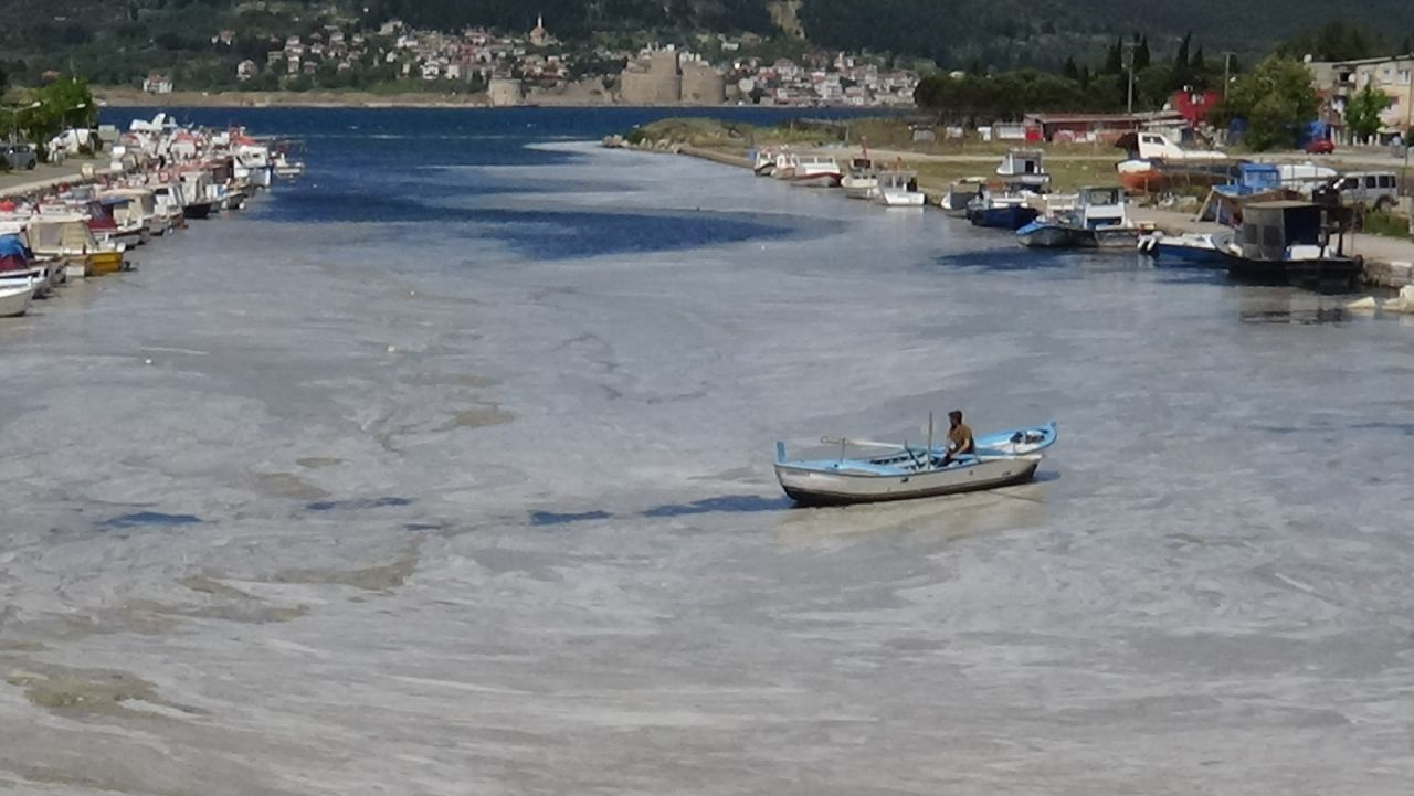 Çanakkale Boğazı'ndan sonra Sarıçay da müsilaj ile kaplandı