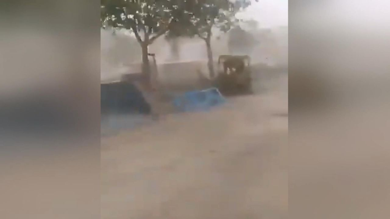 Hindistan’ı Tauktae fırtınası vurdu: 21 ölü, 96 kayıp