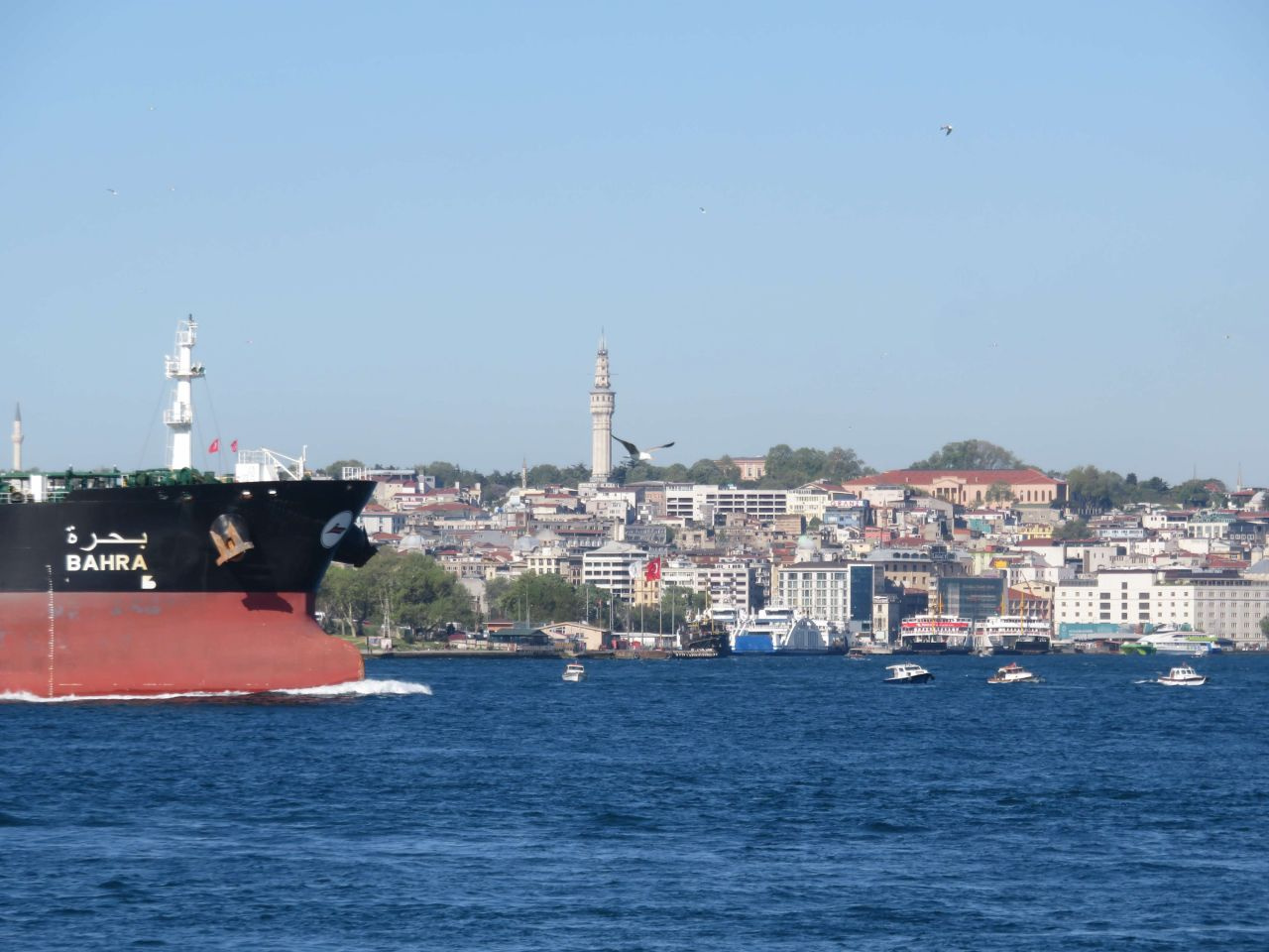 İstanbul Boğazı'nda dev gemilerle burun buruna tehlikeli balıkçılık