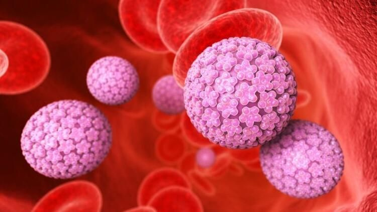 İnsan Papilloma Virüsü (HPV) nedir? Belirtileri ve tedavi yöntemleri