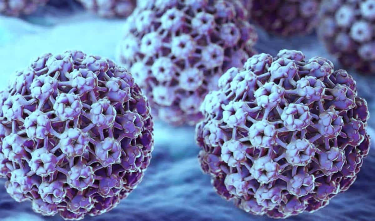 İnsan Papilloma Virüsü (HPV) nedir? Belirtileri ve tedavi yöntemleri