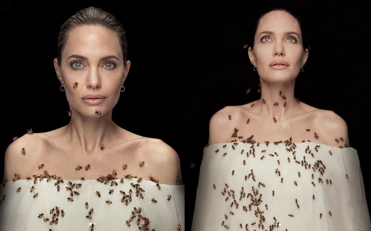 Angelina Jolie dakikalarca arılarla poz verdi