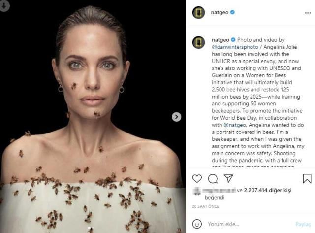 Angelina Jolie 18 dakika boyunca kıpırdamadan arılarla poz verdi sebebi ise bakın ne