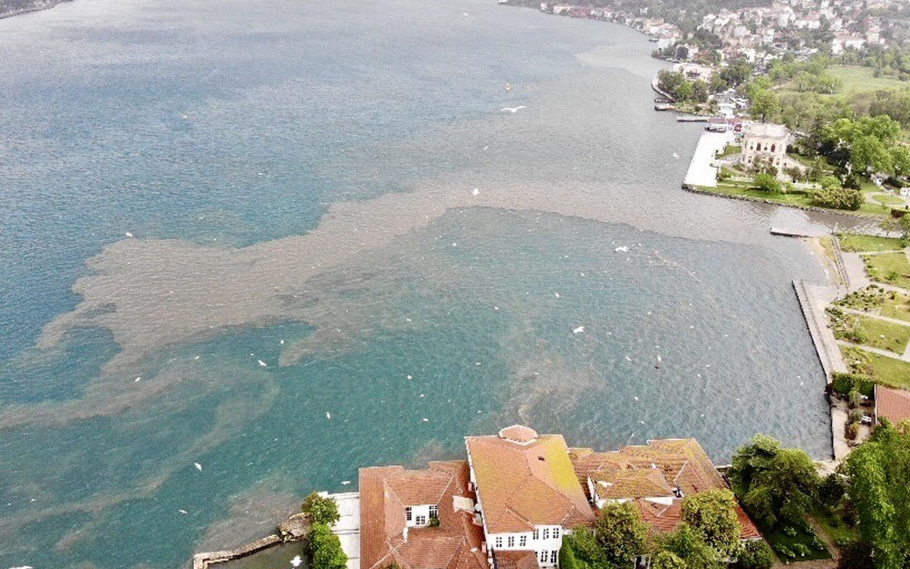 İstanbul Boğazı'nda şaşırtan görüntü! Suyun rengi değişti çamura bulandı!
