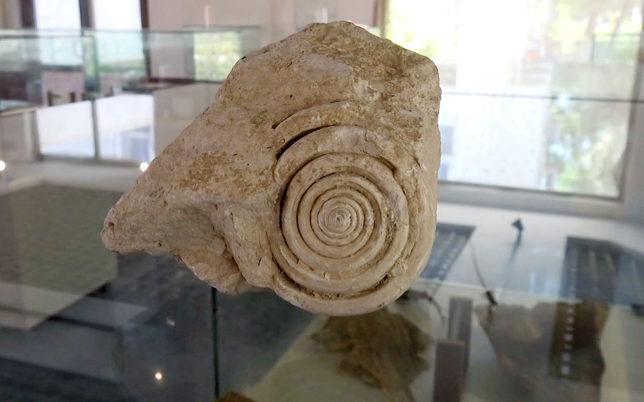 Mersin'de bulundu tam 60 milyon yaşında! Bisikletle gezerken tesadüfen buldu