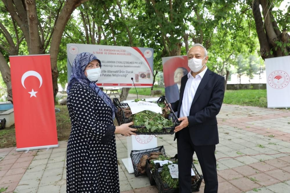 Kilosu 15 TL! Eskişehir'de ekimi törenle yapıldı tatlı patates tatlı kazanç sağlayacak