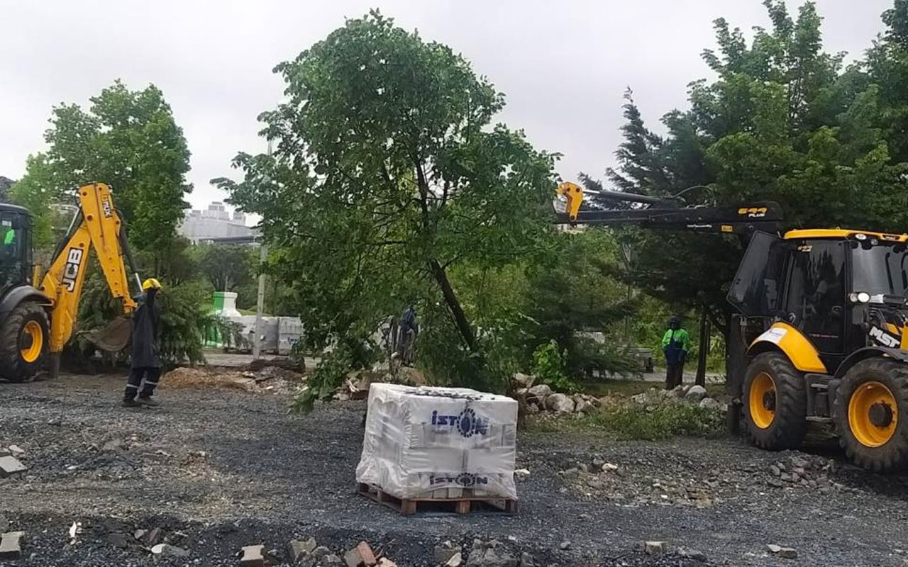 Beylikdüzü'nde belediye ekiplerinin 160 ağacı söktüğü iddiası tepki çekti