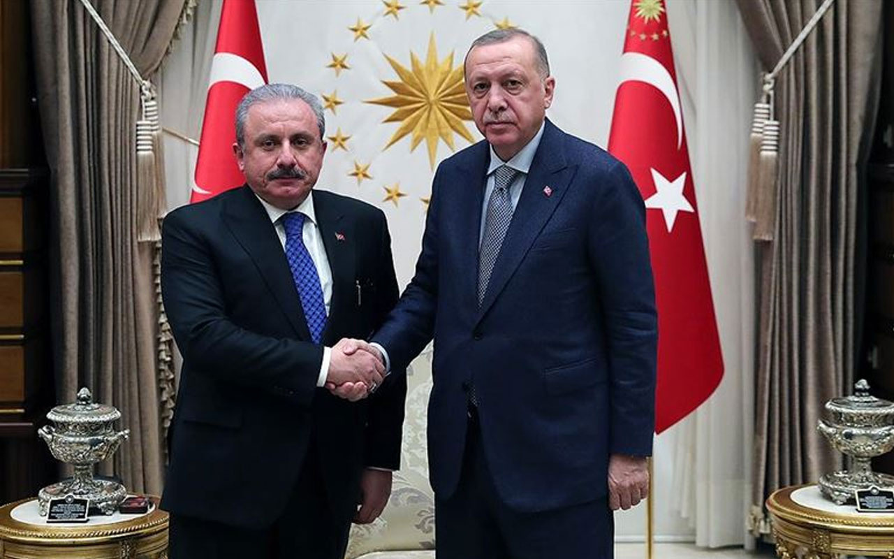 Cumhurbaşkanı Erdoğan, Mustafa Şentop ile görüştü