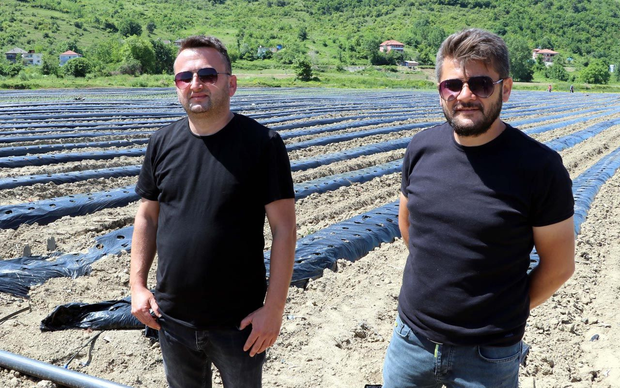 Milyonlarını yatırdı! 3 arkadaş Zonguldak'ta 20 kadını istihdam edip tarıma başladı