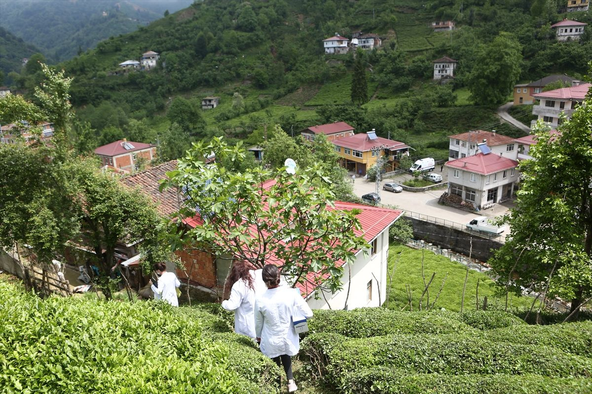 Trabzon'da sağlık çalışanları çay tarlasında aşı yaptı çarpıcı fotoğraflar