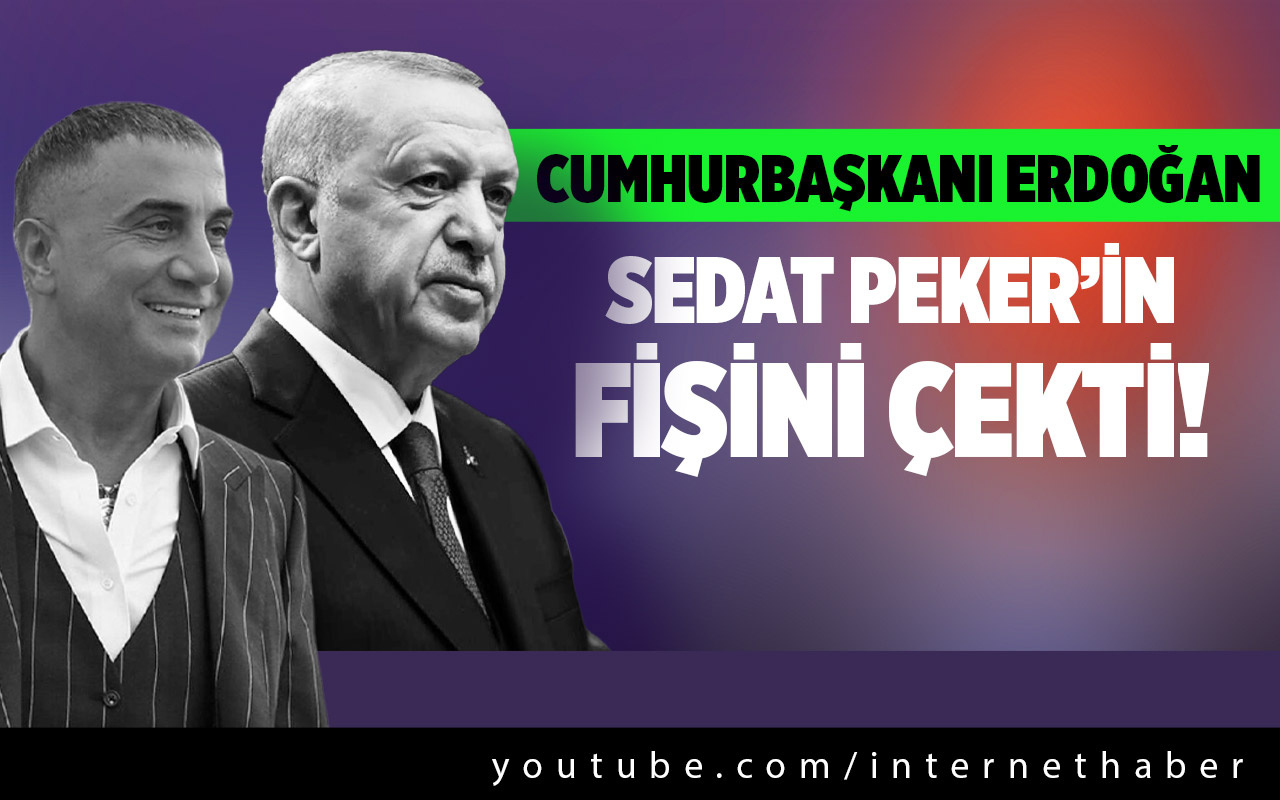 Cumhurbaşkanı Erdoğan Sedat Peker'in fişini çekti!