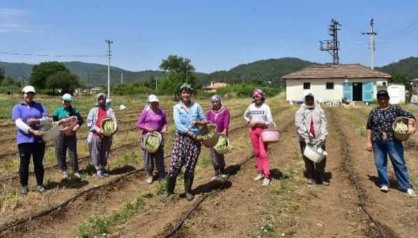 ABD'de tattı bu iş için müdürlüğü bıraktı! Muğla'da üretti siparişlere yetişemiyor