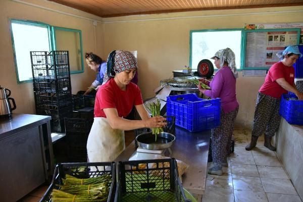 ABD'de tattı bu iş için müdürlüğü bıraktı! Muğla'da üretti siparişlere yetişemiyor