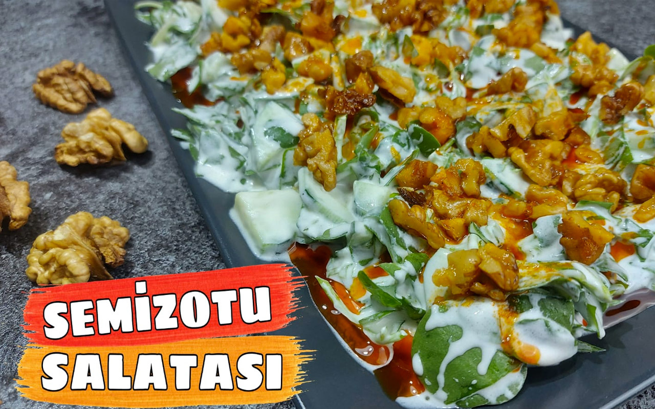 Semizotu salatası nasıl yapılır lezzetine doyum olmaz!