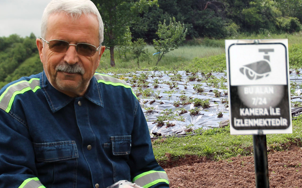 Zonguldak'ta üretiyor 7/24 kamerayla izleniyor! Fiyatını duyan inanamadı siparişlere yetişemiyor