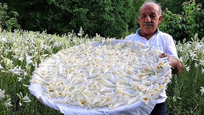 Hobi olarak başladı emekli maaşını 5'e katladı! Tokat'ta üretti fiyatını duyan inanamadı