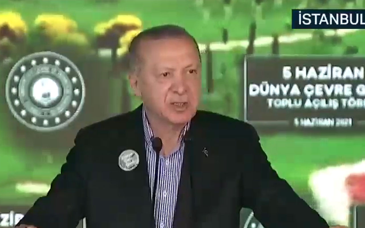 Cumhurbaşkanı Erdoğan: Denizlerimizi müsilaj belasından kurtaracağız