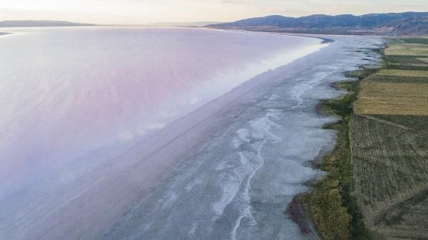 Tuz Gölü küçülüyor! Kuraklık nedeniyle bu yıl erken pembeleşti