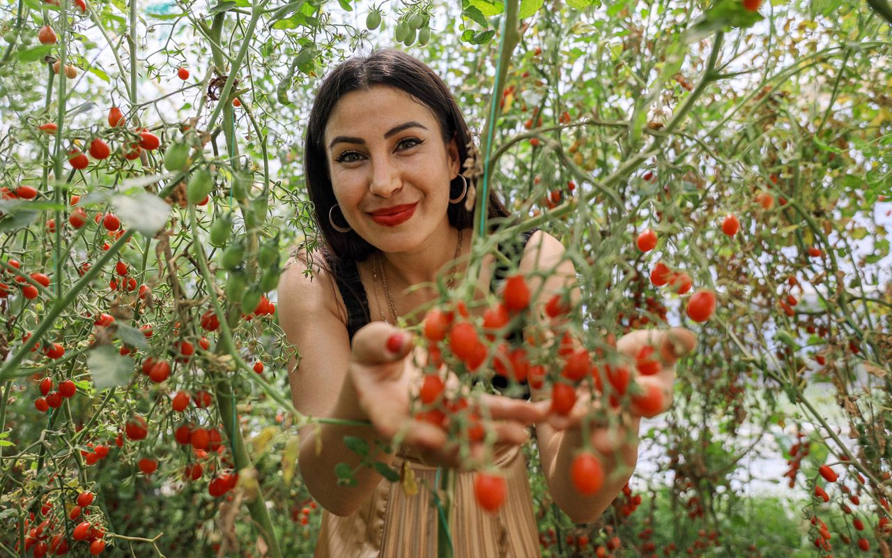 Antalya'da hostes Cemre gezerken gördü! Bir taneyle başladı 4 dönüm sera kurdu