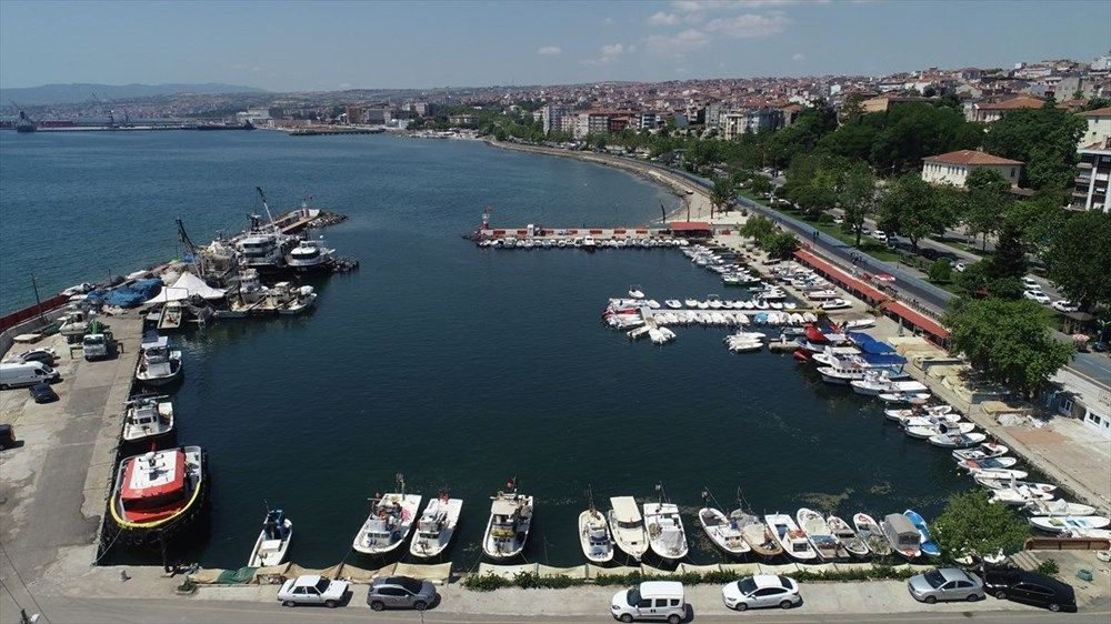 Tekirdağ'da deniz salyası temizleme çalışmalarında ilk sonuç: Kıyıda etkisini yitirdi