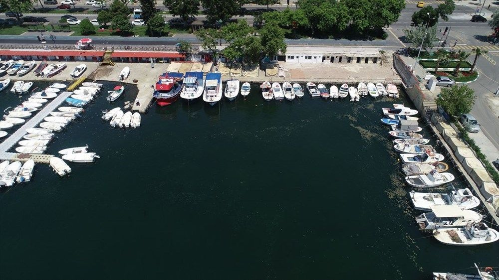 Tekirdağ'da deniz salyası temizleme çalışmalarında ilk sonuç: Kıyıda etkisini yitirdi