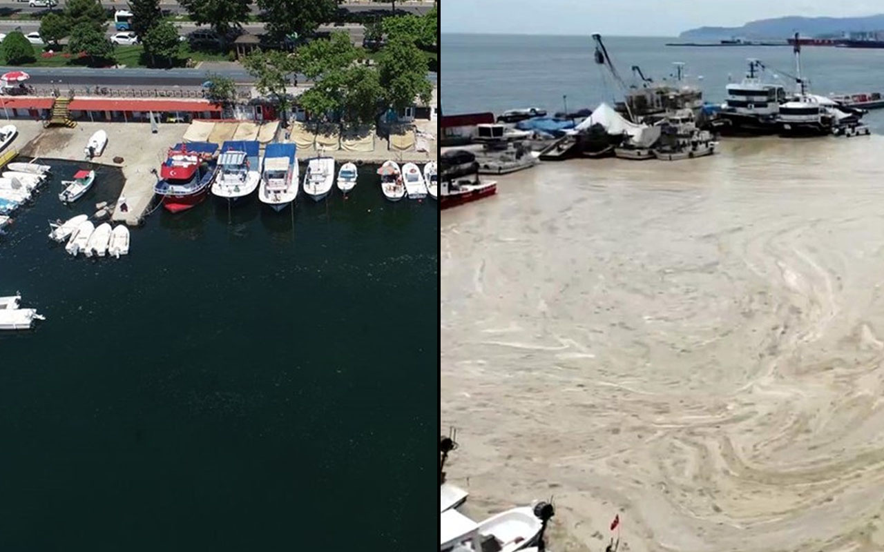 Tekirdağ'da deniz salyası temizleme çalışmalarında ilk sonuç: Kıyıda etkisini yitirdi