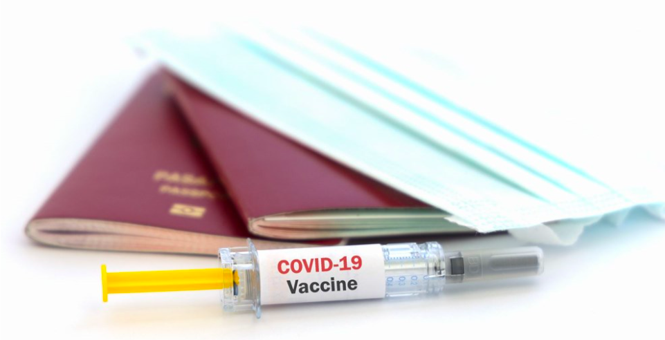Dijital aşı sertifikası nasıl alınır? Bu yoksa seyahat edilemeyecek