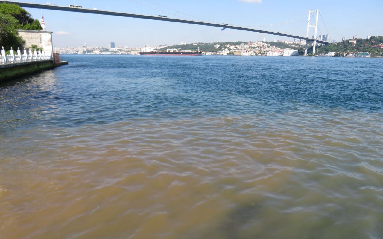 İstanbul Boğazı müsilajdan sonra şimdi de kahverengi akıntı