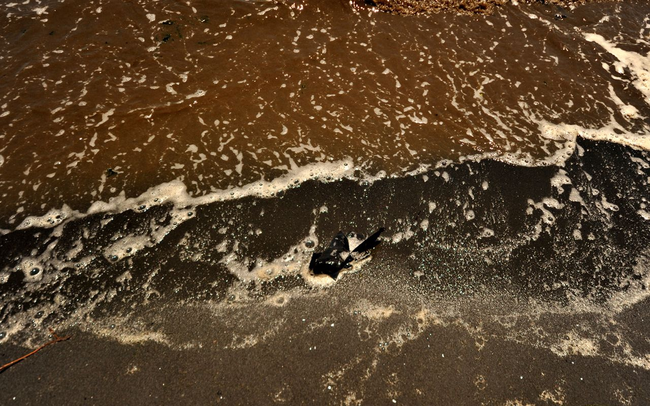 Bandırma sahilinde kumun rengi siyaha döndü müsilaj mahvetti