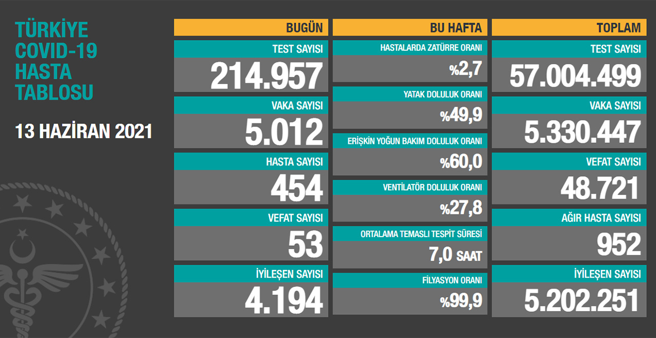 Türkiye 13 Haziran 2021 koronavirüs vaka ve ölü sayısı ...