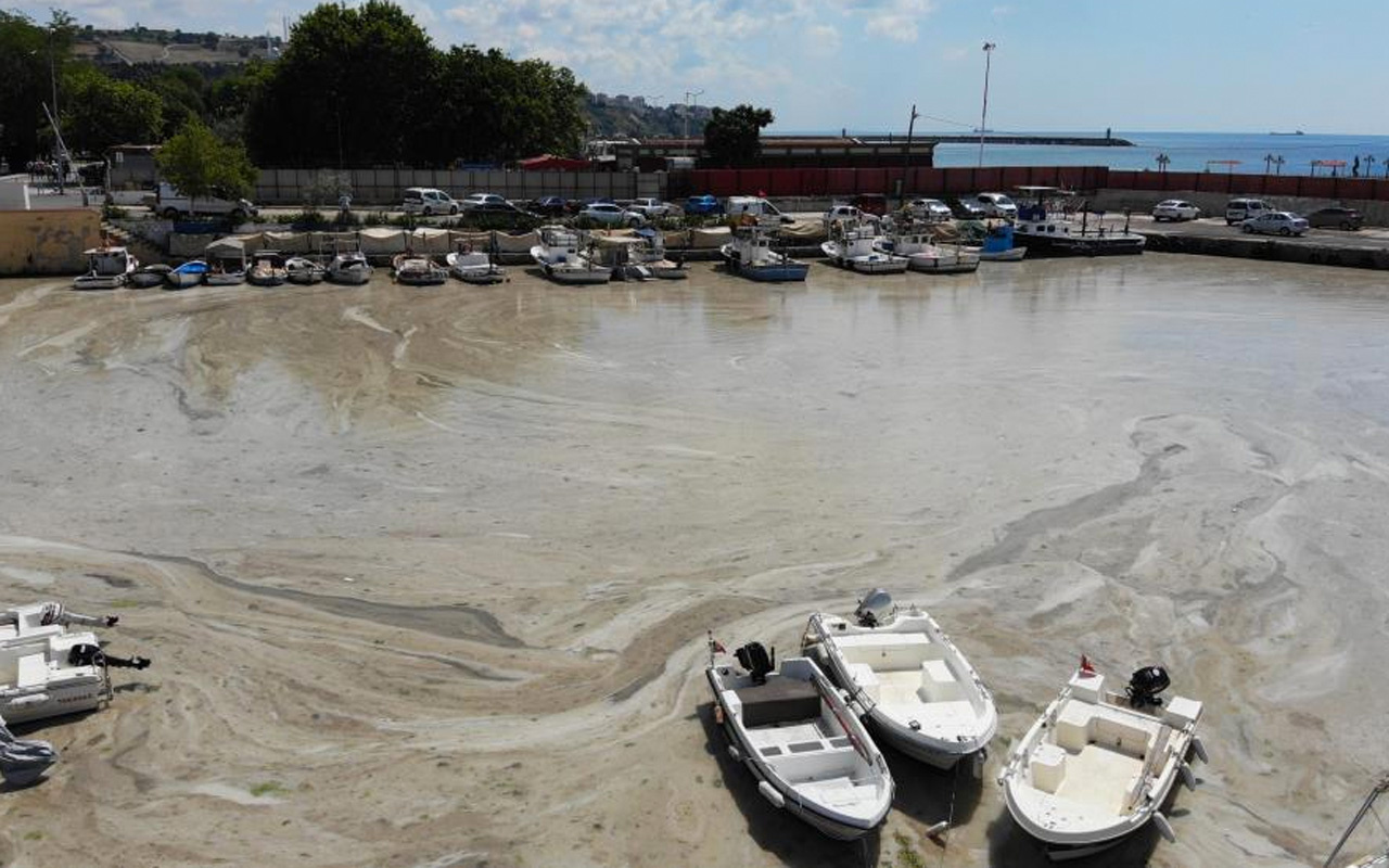 Tekirdağ'da sabah limana gelen balıkçılar gözlerine inanamadı