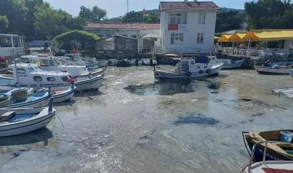 Bozcaada'da müsilaj görüldü! Adalılar bu görüntüye kahroldu!