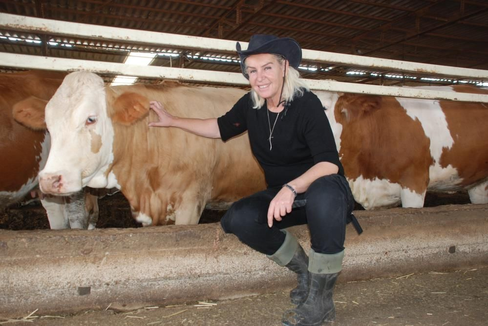 Hostesliği bıraktı İzmir'de çiftlik kurdu şimdi inek sağıp ahır temizliyor