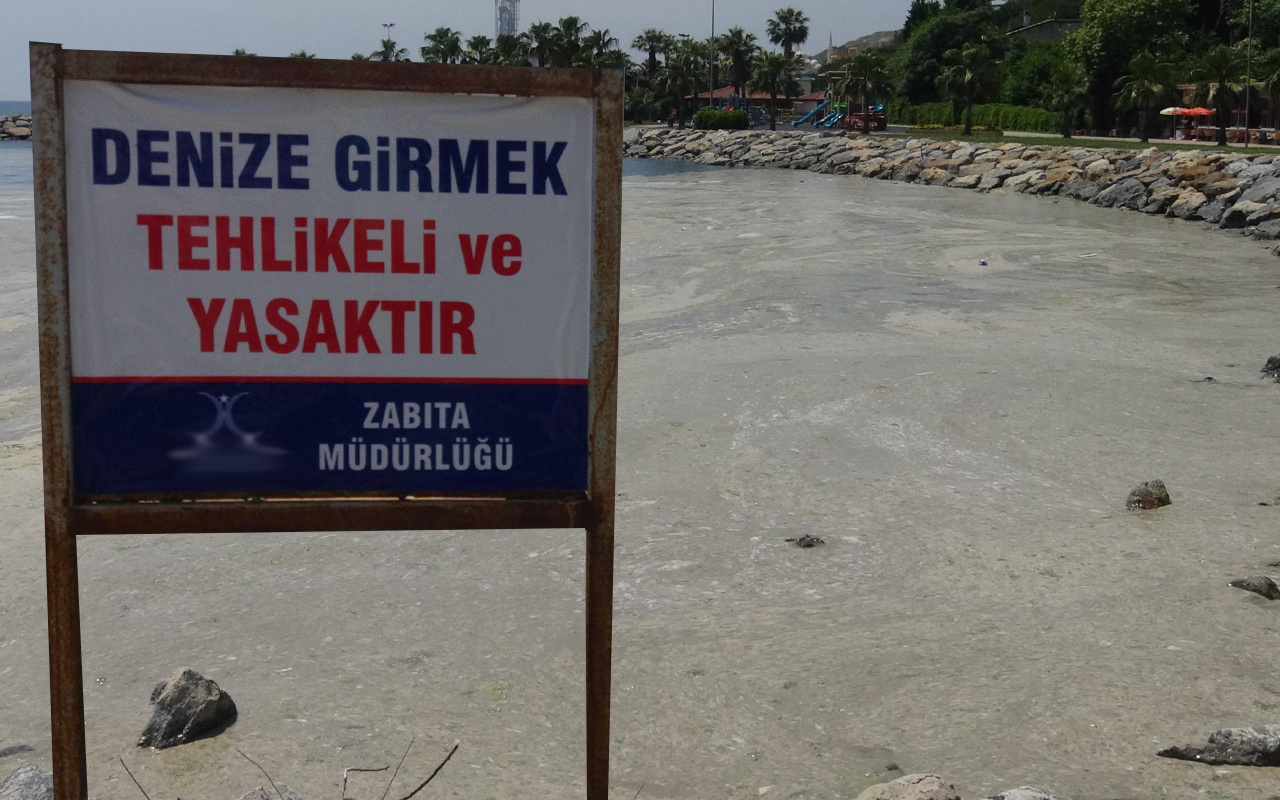 Müsilaj kabusu! Kocaeli'de denize girmek yasaklandı