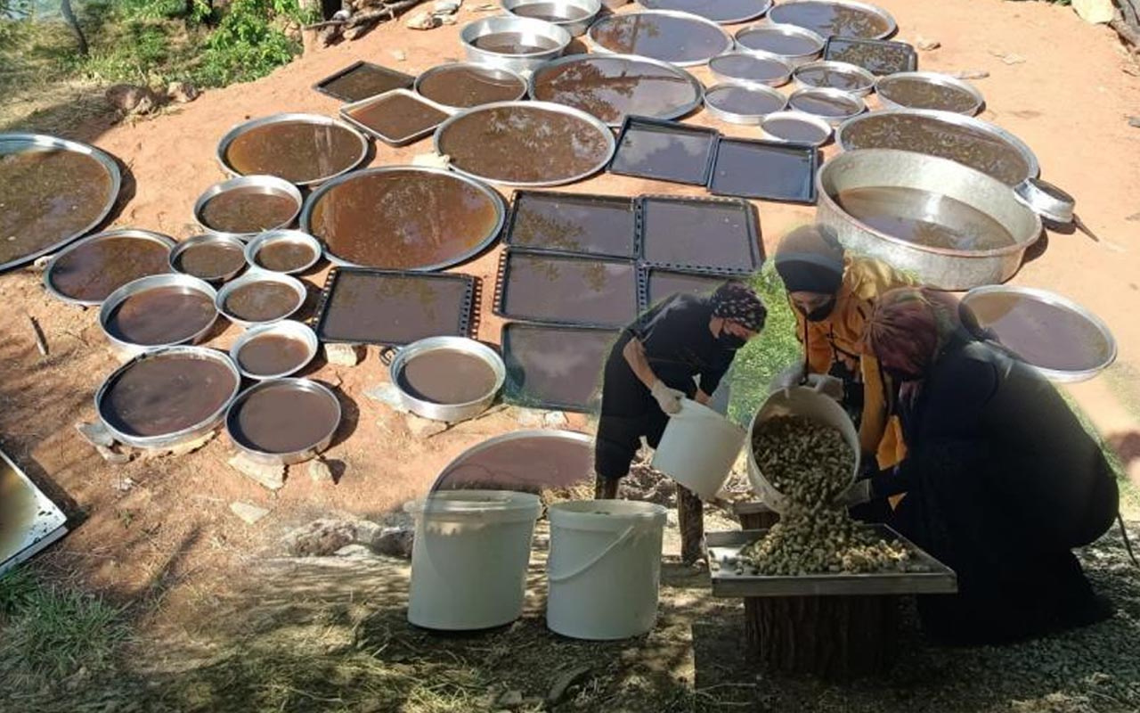 70 hastalığa şifa ve yolculuğu çok 'tatlı'! 100 yıldır Sivan Dut pekmezi sayesinde geçiniyorlar