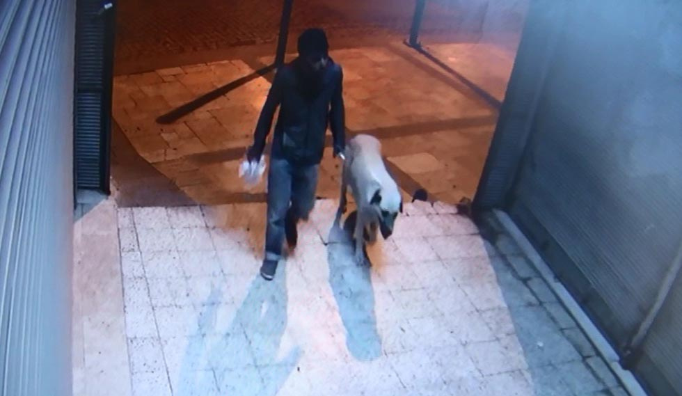 Pusu kurulmuştu eski karısının işi çıktı! Köpek tecavüzcüsünü tetikçi