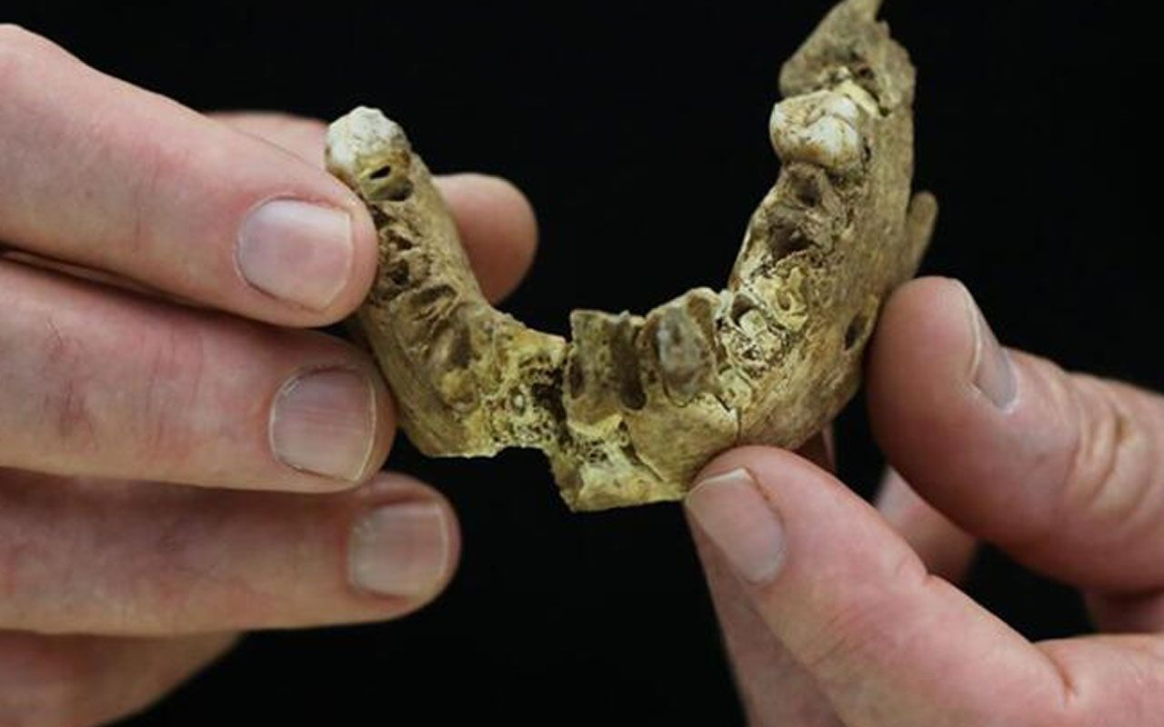 Yeni antik insan türü bilim insanlarını şaşırttı! İsrail'de tesadüfen bulundu
