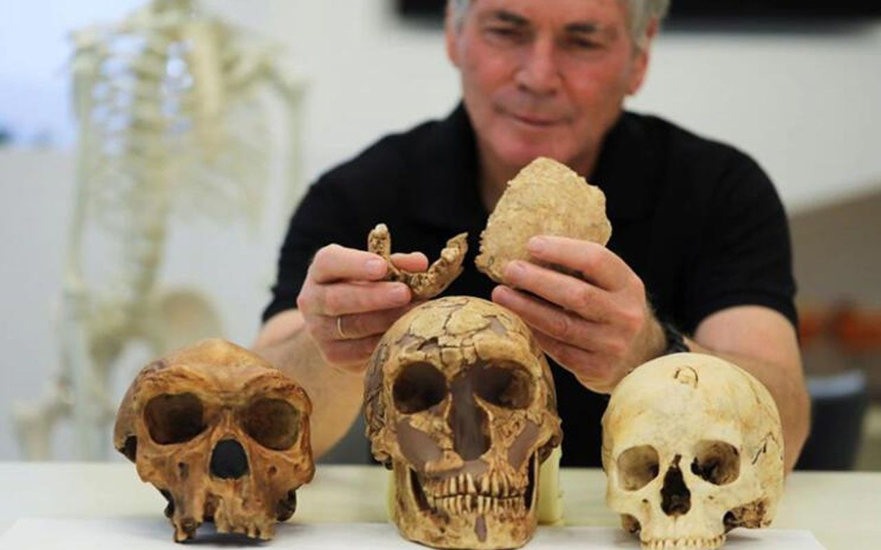 Yeni antik insan türü bilim insanlarını şaşırttı! İsrail'de tesadüfen bulundu