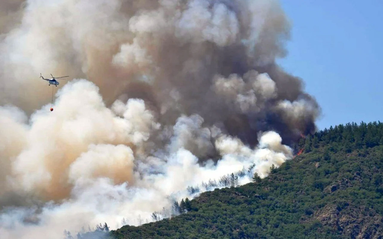 Son dakika Marmaris'te orman yangını 1 görevli şehit oldu