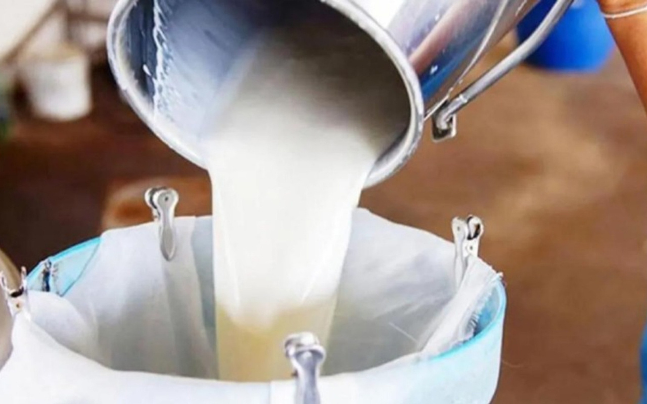 Tarım Bakanlığı çiğ süt desteği ödemelerine ilişkin esasları açıkladı