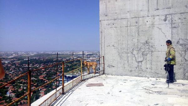 İstanbul’da 36. katta 10 gün bekledi! Gelen ekipler inanamadı