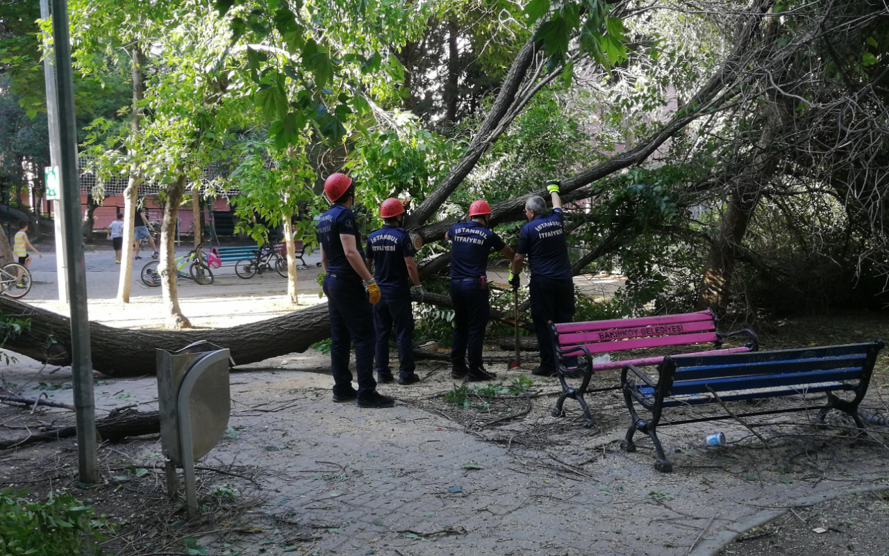 Bakırköy'de felaketten kıl payı dönüldü! Çocukların oynadığı parkta ağaç devrildi